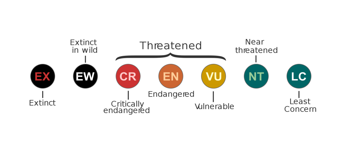 Exploring The IUCN Red List Of Threatened Species | Biodiversity Projects